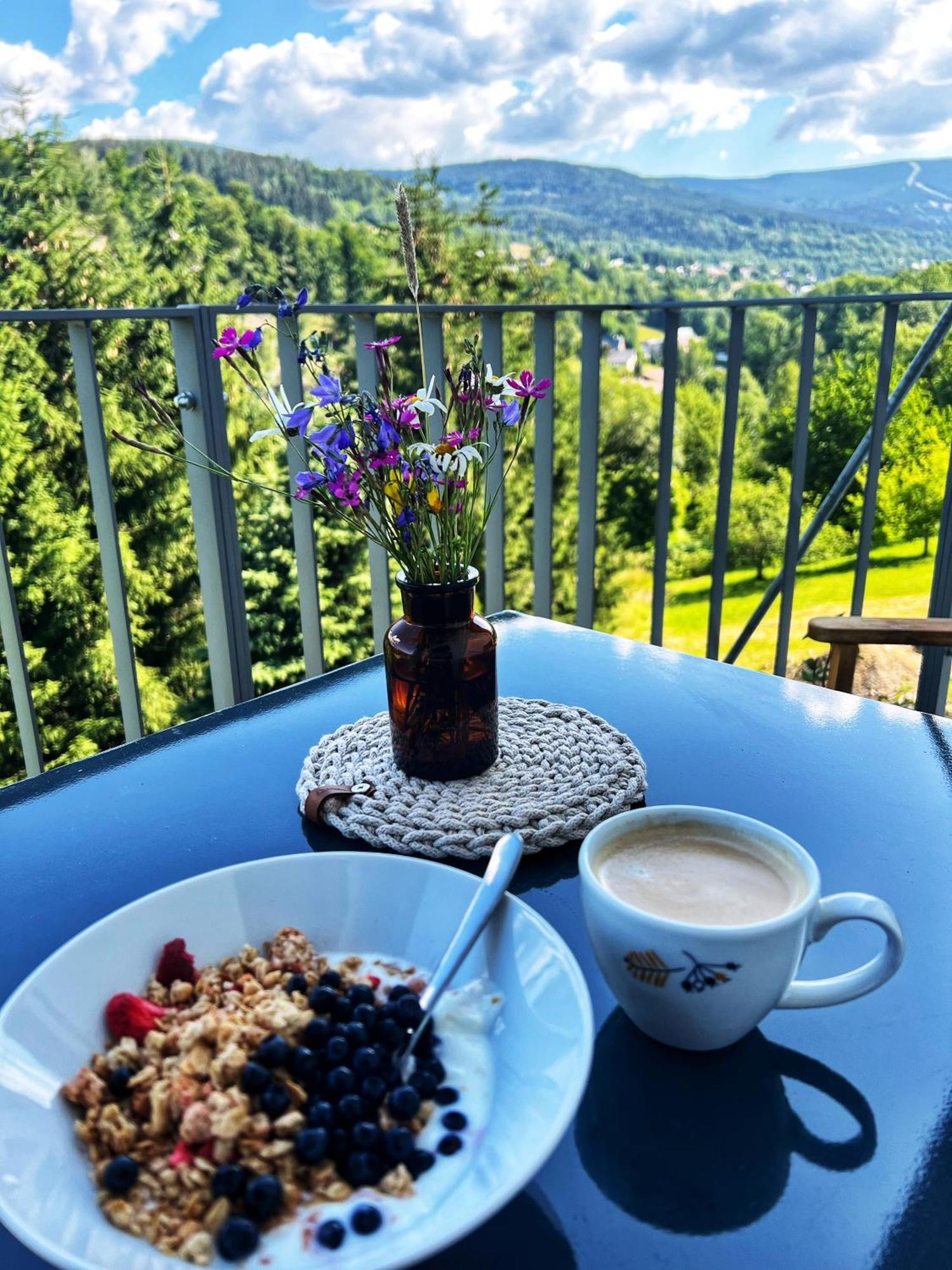 Apartman Vista Rokytnice Rokytnice nad Jizerou Buitenkant foto
