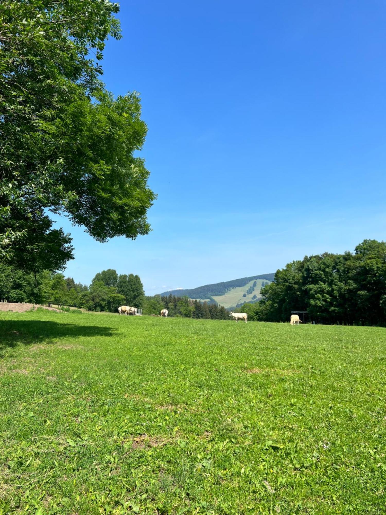 Apartman Vista Rokytnice Rokytnice nad Jizerou Buitenkant foto