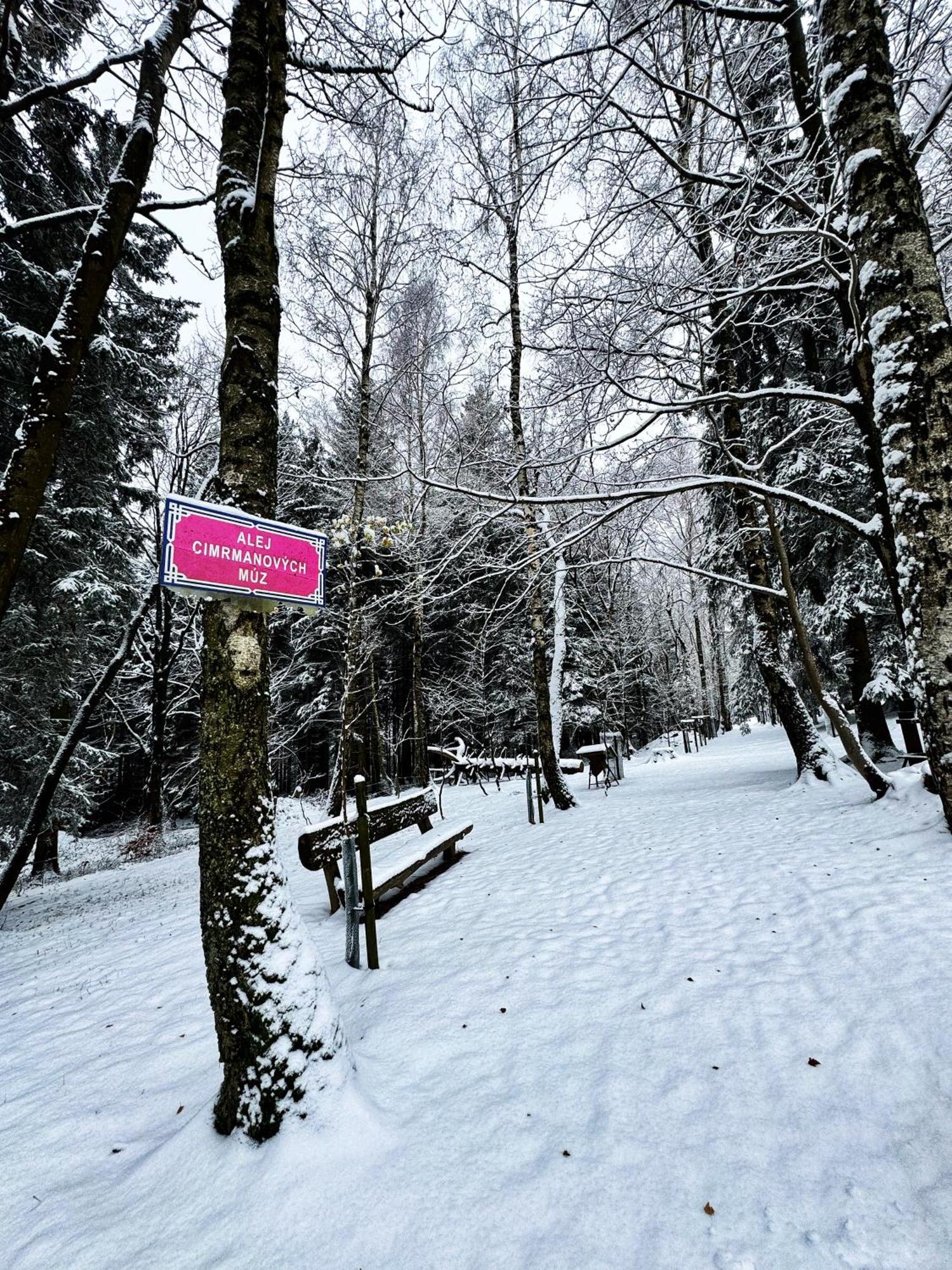 Apartman Vista Rokytnice Rokytnice nad Jizerou Buitenkant foto