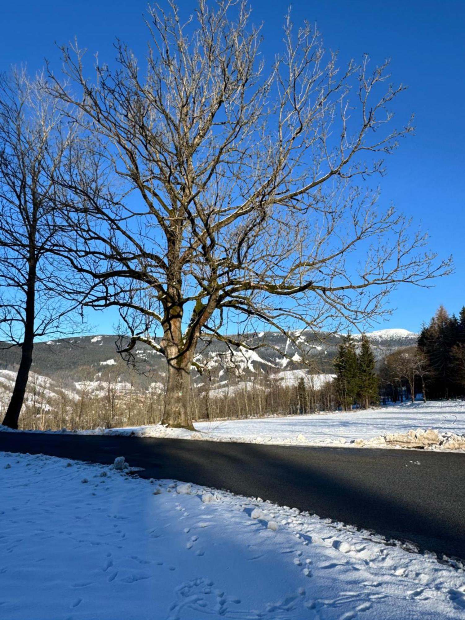 Apartman Vista Rokytnice Rokytnice nad Jizerou Buitenkant foto
